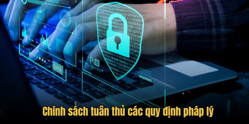 Chính sách tuân thủ các quy định pháp lý