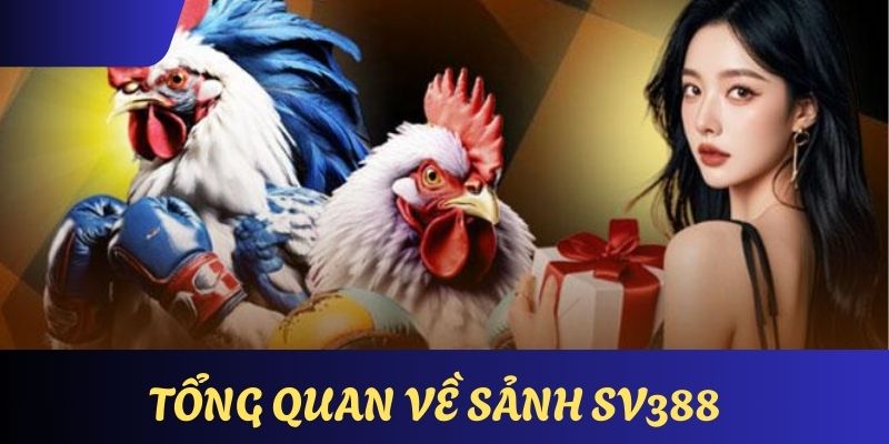 Tổng quan chung những nét căn bản về sân chơi SV388