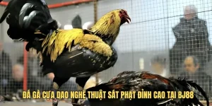 Đá Gà Cựa Dao – Nghệ Thuật Sát Phạt Đỉnh Cao