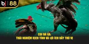 Coi Đá Gà: Trải Nghiệm Kịch Tính và Lợi Ích Đầy Thú Vị