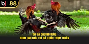 Đá Gà Casino BJ88 – Đỉnh Cao Giải Trí Cá Cược Trực Tuyến