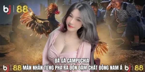 Đá gà Campuchia BJ88 – Trận đấu mãn nhãn và cơ hội cá cược đỉnh cao