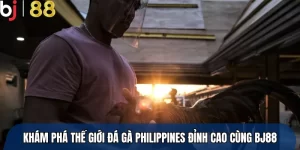 Đá Gà Philippines Trực Tuyến Kịch Tính – Thử Ngay Tại BJ88
